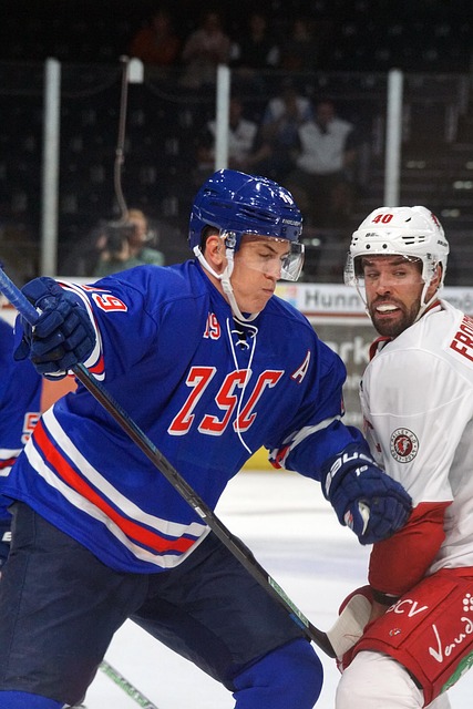 还将给帕尔 还将给帕尔