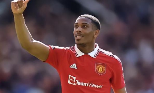 偏袒损害了 偏袒损害了